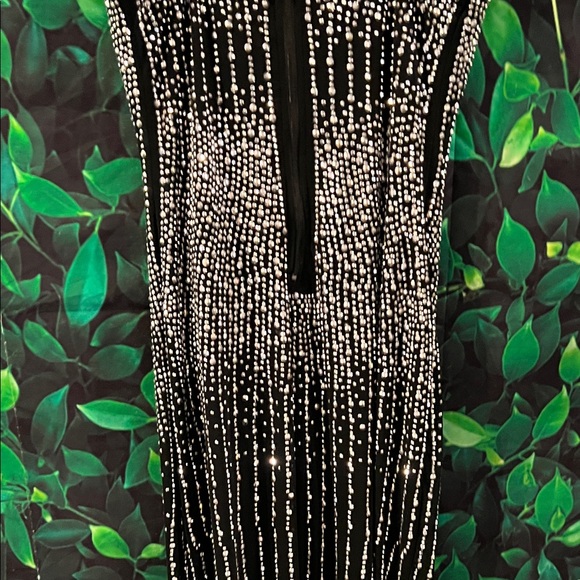 Rhinestone dress - Picture 4 of 10